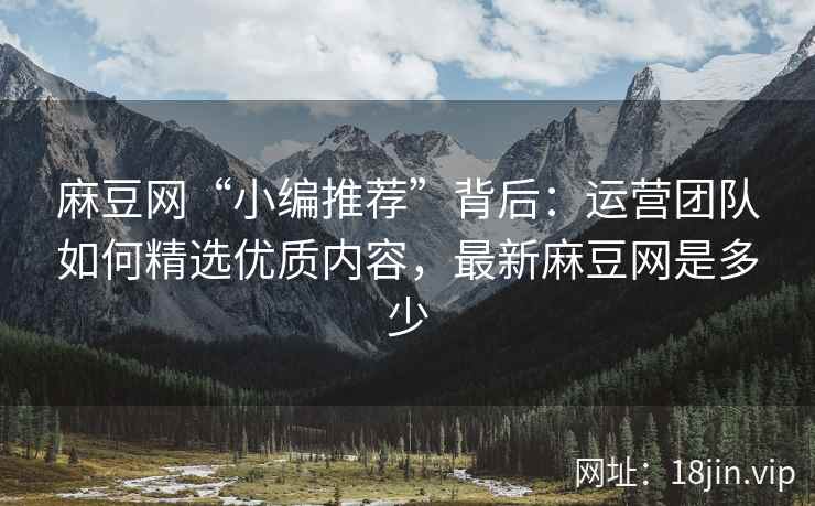 麻豆网“小编推荐”背后：运营团队如何精选优质内容，最新麻豆网是多少