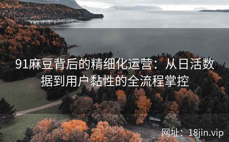 91麻豆背后的精细化运营：从日活数据到用户黏性的全流程掌控