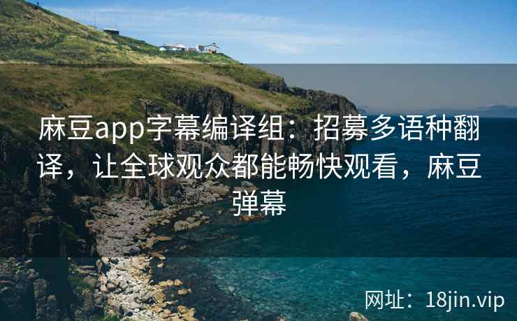 麻豆app字幕编译组：招募多语种翻译，让全球观众都能畅快观看，麻豆弹幕
